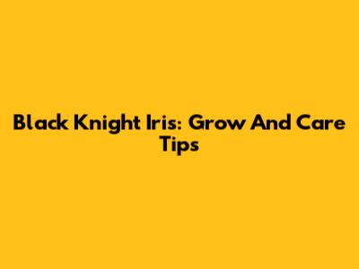 Black Knight Iris: Grow And Care Tips