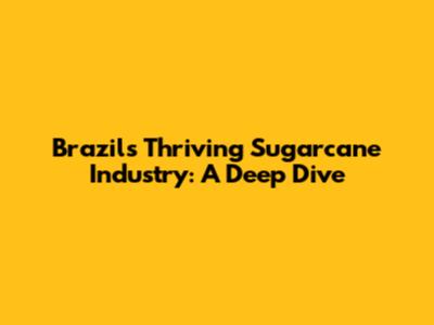 Brazil's Thriving Sugarcane Industry: A Deep Dive
