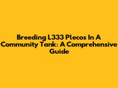 Breeding L333 Plecos In A Community Tank: A Comprehensive Guide