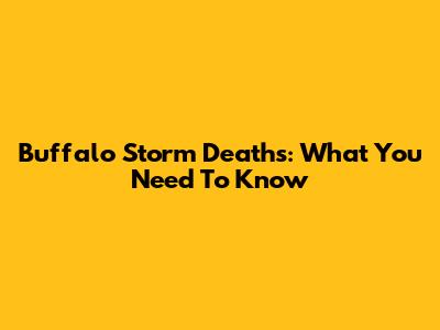 Buffalo Storm Deaths: What You Need To Know