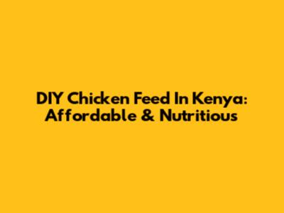 DIY Chicken Feed In Kenya: Affordable & Nutritious
