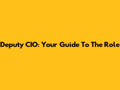 Deputy CIO: Your Guide To The Role