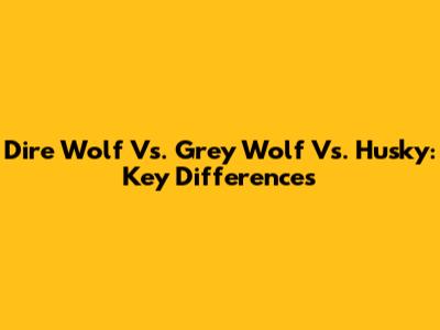 Dire Wolf Vs. Grey Wolf Vs. Husky: Key Differences