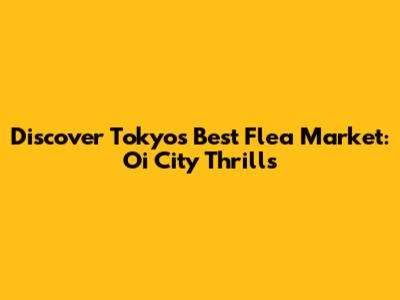 Discover Tokyo's Best Flea Market: Oi City Thrills