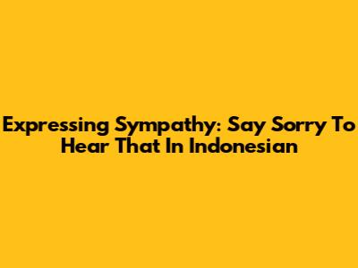Expressing Sympathy: Say 'Sorry To Hear That' In Indonesian