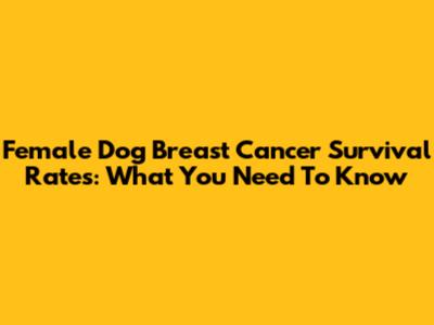 Female Dog Breast Cancer Survival Rates: What You Need To Know