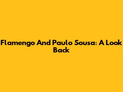 Flamengo And Paulo Sousa: A Look Back
