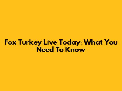 Fox Turkey Live Today: What You Need To Know