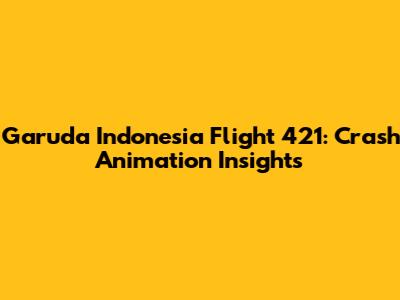 Garuda Indonesia Flight 421: Crash Animation Insights