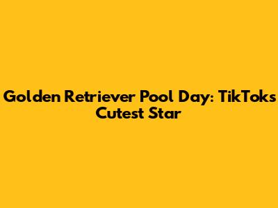 Golden Retriever Pool Day: TikTok's Cutest Star