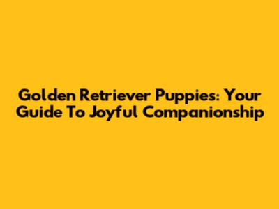 Golden Retriever Puppies: Your Guide To Joyful Companionship