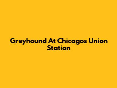 Greyhound At Chicago's Union Station