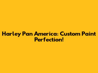 Harley Pan America: Custom Paint Perfection!