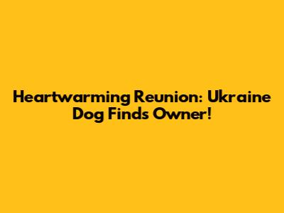 Heartwarming Reunion: Ukraine Dog Finds Owner!
