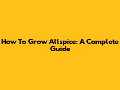 How To Grow Allspice: A Complete Guide