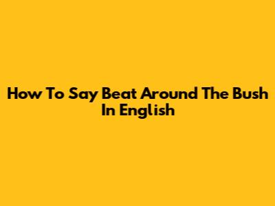 How To Say 'Beat Around The Bush' In English