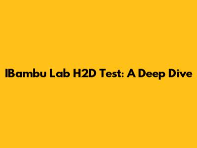 IBambu Lab H2D Test: A Deep Dive