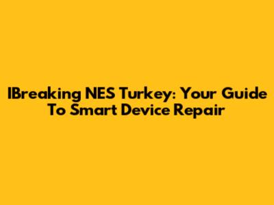 IBreaking NES Turkey: Your Guide To Smart Device Repair