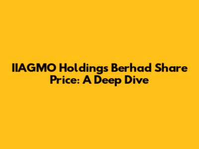 IIAGMO Holdings Berhad Share Price: A Deep Dive