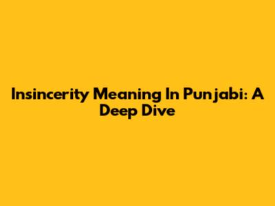 Insincerity Meaning In Punjabi: A Deep Dive