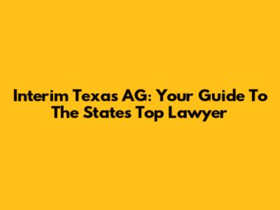 Interim Texas AG: Your Guide To The State's Top Lawyer