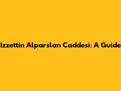 Izzettin Alparslan Caddesi: A Guide