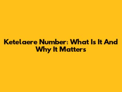 Ketelaere Number: What Is It And Why It Matters