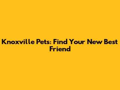 Knoxville Pets: Find Your New Best Friend