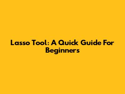 Lasso Tool: A Quick Guide For Beginners
