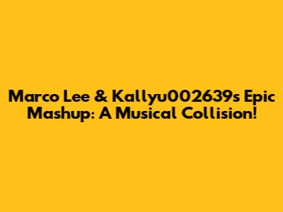 Marco Lee & Kallyu002639's Epic Mashup: A Musical Collision!