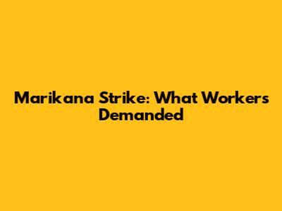 Marikana Strike: What Workers Demanded
