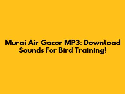 Murai Air Gacor MP3: Download Sounds For Bird Training!