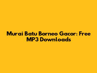 Murai Batu Borneo Gacor: Free MP3 Downloads