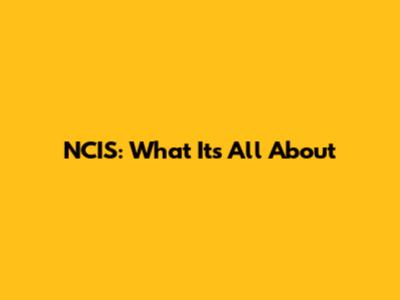 NCIS: What It's All About