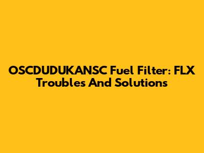 OSCDUDUKANSC Fuel Filter: FLX Troubles And Solutions