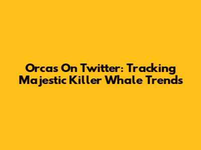 Orcas On Twitter: Tracking Majestic Killer Whale Trends