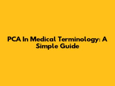 PCA In Medical Terminology: A Simple Guide