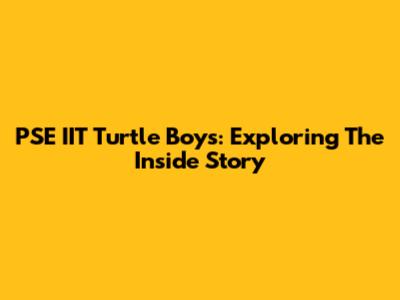 PSE IIT Turtle Boys: Exploring The Inside Story