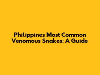 Philippines' Most Common Venomous Snakes: A Guide