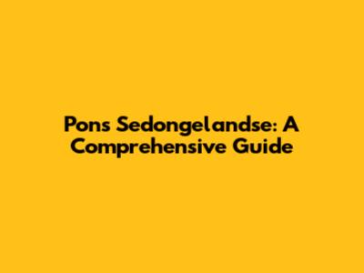 Pons Sedongelandse: A Comprehensive Guide