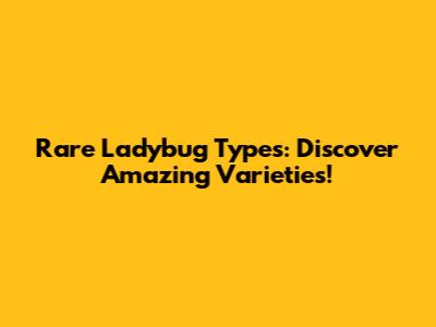 Rare Ladybug Types: Discover Amazing Varieties!