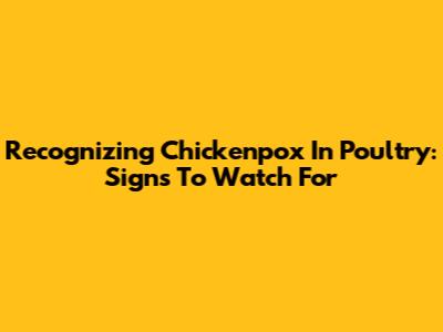 Recognizing Chickenpox In Poultry: Signs To Watch For