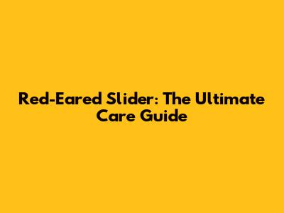 Red-Eared Slider: The Ultimate Care Guide