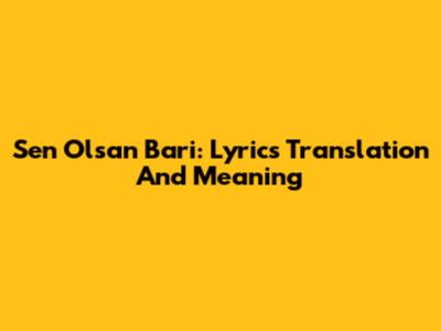 Sen Olsan Bari: Lyrics Translation And Meaning