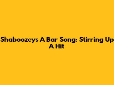 Shaboozey's "A Bar Song": Stirring Up A Hit