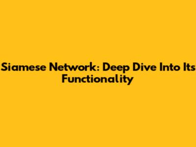 Siamese Network: Deep Dive Into Its Functionality