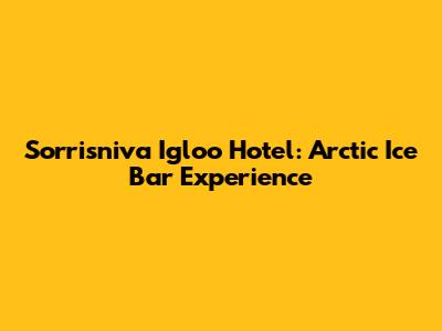Sorrisniva Igloo Hotel: Arctic Ice Bar Experience