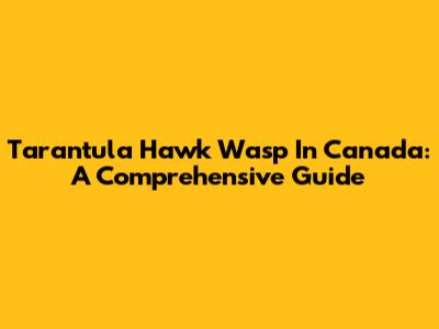 Tarantula Hawk Wasp In Canada: A Comprehensive Guide