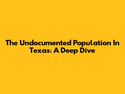 The Undocumented Population In Texas: A Deep Dive