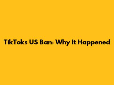 TikTok's US Ban: Why It Happened